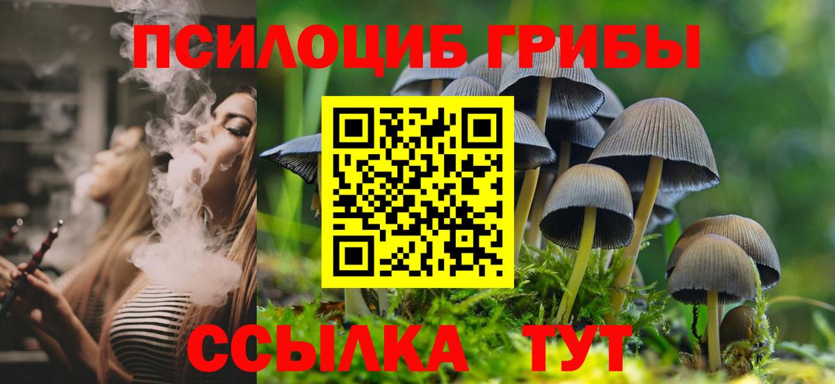 Галлюциногенные грибы прущие грибы Нижний Новгород