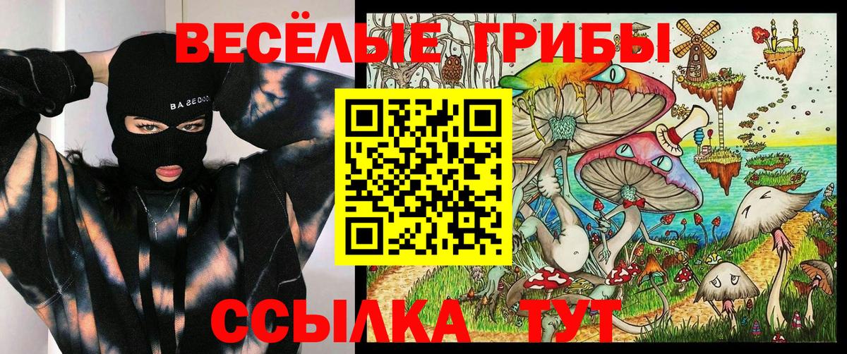 Нижний Новгород  Псилоцибиновые грибы MAGIC MUSHROOMS  Галлюциногенные грибы мухоморы  Вход с VPN 